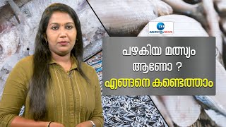 Rotten Fish | Food Safety | അതിര്‍ത്തി കടന്ന് എത്തുന്നത് പഴകിയ മത്സ്യം ആണോ ? എങ്ങനെ കണ്ടെത്താം