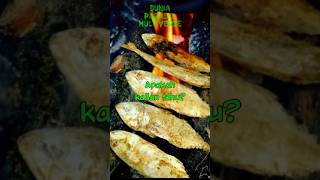 Bakar Ikan Asin di Hutan? #shorts #misteri #viral