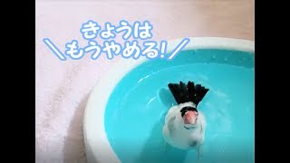 8歳桜文鳥　れいさん取水制限ですって#10 bird bath.8year old java sparrow.水浴び