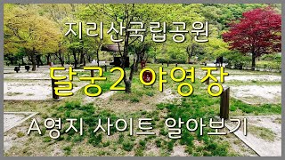 지리산국립공원 달궁2 야영장(달궁자동차야영장) A영지 사이트 알아보기