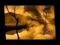 Goodbye  -Maysa-