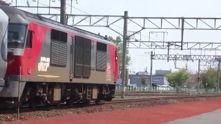 【JR】試9969レ DF200-52+E26系12B「カシオペアクルーズ乗務員訓練試運転」 苫小牧発車