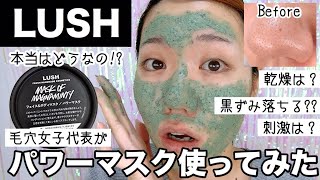 【LUSH】ラッシュのパワーマスクで本当に毛穴汚れが落ちる？毛穴女子代表が試してみた【いちご鼻】