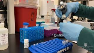 Using the Qubit Fluorometer