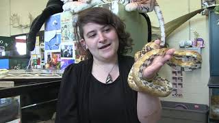 Critters Up Close: Snakes