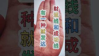 财运线和成功线有一种就发达#手相#運勢#palmistry#風水 #财运#事业 #命运