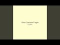 Silver Cascade Fragile