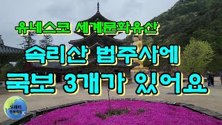 사찰여행/속리산법주사여행/국보3개가 있어요/유네스코세계문화유산