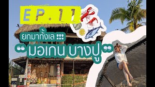 EP.11 ชวนไปกินอาหารทะเล มอเกน บางปู