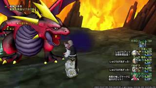 【DQX】レグナード１ サポ３ 占天僧キラパン【占い視点】