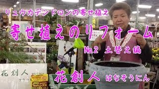 【寄せ植えのリフォーム】#2土替え編／花創人はなそうにん岐阜愛知寄せ植えハンギングバスケット教室