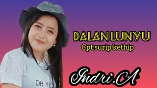 SURIP KETHIP..DALAN LUNYU..VCL.INDRI..