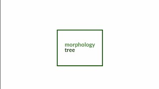 morphology tree (diagram)