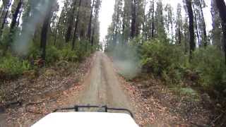 Western Track in Bunyip State Park