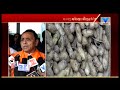 pm modi pass peanuts crop insurance worth rs 923cr for gujarat farmers vtv news