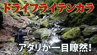 【大島庄治】ドライフライテンカラで釣り歩く秩父源流【荒川水系（埼玉県）】#渓流釣り #テンカラ #秩父イワナ