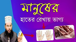 মানুষের হাতের রেখা দেখে ভাগ্য গণনা || ছেলে মেয়েদের হাতের রেখা, রাশিফল সম্পর্কে ইসলাম কি বলে