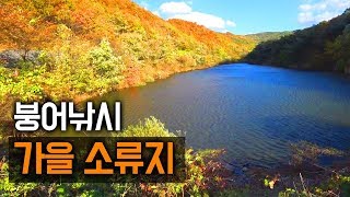 충청도 산속 소류지 붕어낚시 | 자연지 새우보다 지렁이가 좋아요