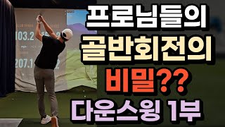 프로님들의 다운스윙 골반회전의 비밀??