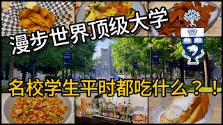 【加拿大🇨🇦多伦多美食探店】漫步多伦多大学 | 揭秘世界级名校学生的日常 | 宝云街美食口袋名单 | 品尝神奇的云南菜？泡鲁达？！大救驾？！U of T Campus | Yunnan cuisine