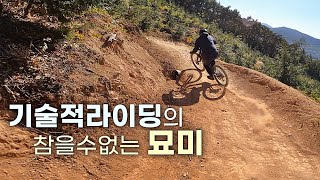 고창파크/블랙홀은 커티가 제맛/ R제로님