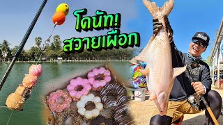 Donut สวายแข่งเงินแสน เที่ยวทะเลเพชรบุรี!! Fishing Comp, Petchaburi