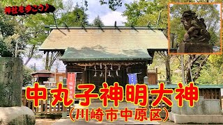 #403　中丸子神明大神 （川崎市中原区）