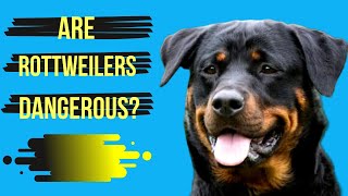 Rottweilers: Are They Dangerous or (Loyal Family Companion)?