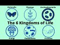 Basic Taxonomy-6 Kingdoms of Life-Classification