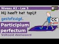 NT2 Participium perfectum - А2 Les 3 - voltooid deelwoord 1.2 #learndutch #nederlandsleren