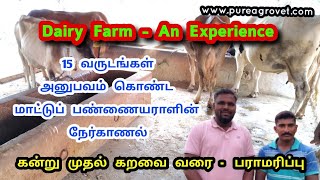 கன்று முதல் கறவை வரை - மாடு வளர்ப்பு || Dairy Farm and An Experience