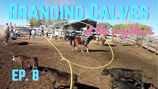 Branding Calves Ep8: Where the cows at???