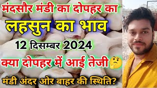 मंदसौर मंडी का आज दोपहर का लहसुन का भाव | Mandsaur Mandi Lahsun Bhav | Lahsun Ka Bhav Aaj Ka