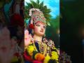 Mata rani whatsapp status 🌺🙏||Jai maa serawali1🌺#jaimatadi jai