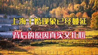 上海干婚现象普遍，甚至已经蔓延全国各地，背后的原因真实又扎心