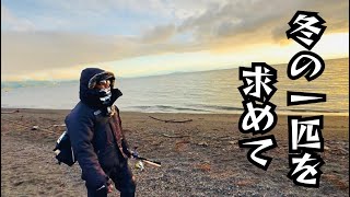 【琵琶湖バス釣り】冬の一匹を求めて、、、