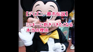 【ディズニー都市伝説】ミッキーに抱きつきたくなる本当の理由