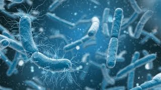 Web of Complex Biology | Science Documentary | Bill Nye