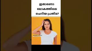 ഇതാണോ ലോകത്തിലെ ചെറിയ പ്രതിമ #factsmalayalam #facts #factsshow #malayalamfacts #shorts #intresting