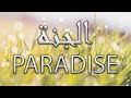 Describing Paradise (Al-Jannah) - الجنة - Dr Sheikh Ibrahim El-Shafie