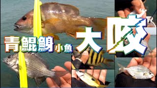 20230419 台南青鯤鯓磯釣＃Fishing＃HP黑白釣