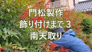 門松製作８　飾り付けまで３　南天取り(説明欄にまとめ載せてます)