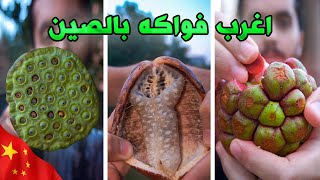 جربت أغرب فواكة في الصين 🍇🇨🇳 | China's WEIRDEST fruits