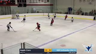 NW Icehawks 14U A vs. Apple Core (2023.12.30)