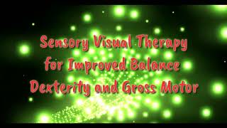 Sensory Therapy Visual Light Tunnel