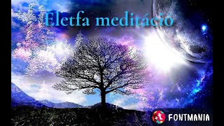 Életfa meditáció - energia, feltöltődés, földelés, stabilitás