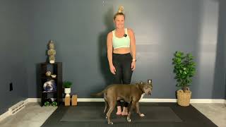 Spring Into Your Core - Day 1