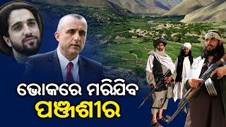 Afghanistan Crisis: Taliban Cut Off Communication Lines To Panjshir || KalingaTV