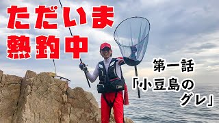 ただいま熱釣中　第一話（小豆島のグレ釣り）