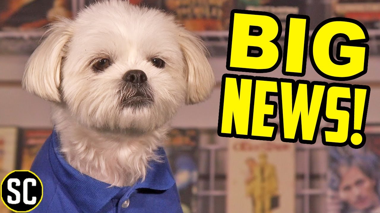 Screencrush Announcement Live Show New Discord Server For Fans